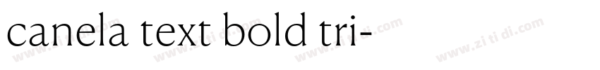 canela text bold tri字体转换